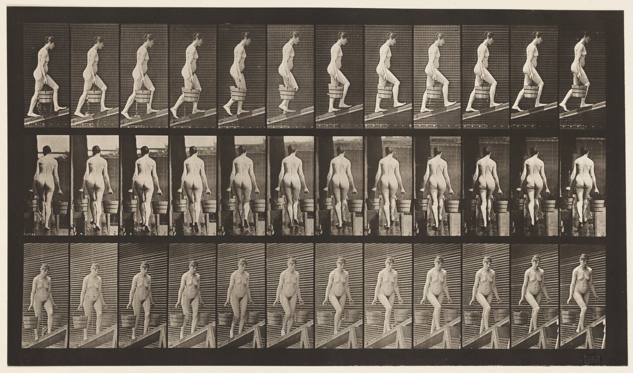 Plaka 81. Artan Eğim. by Eadweard Muybridge