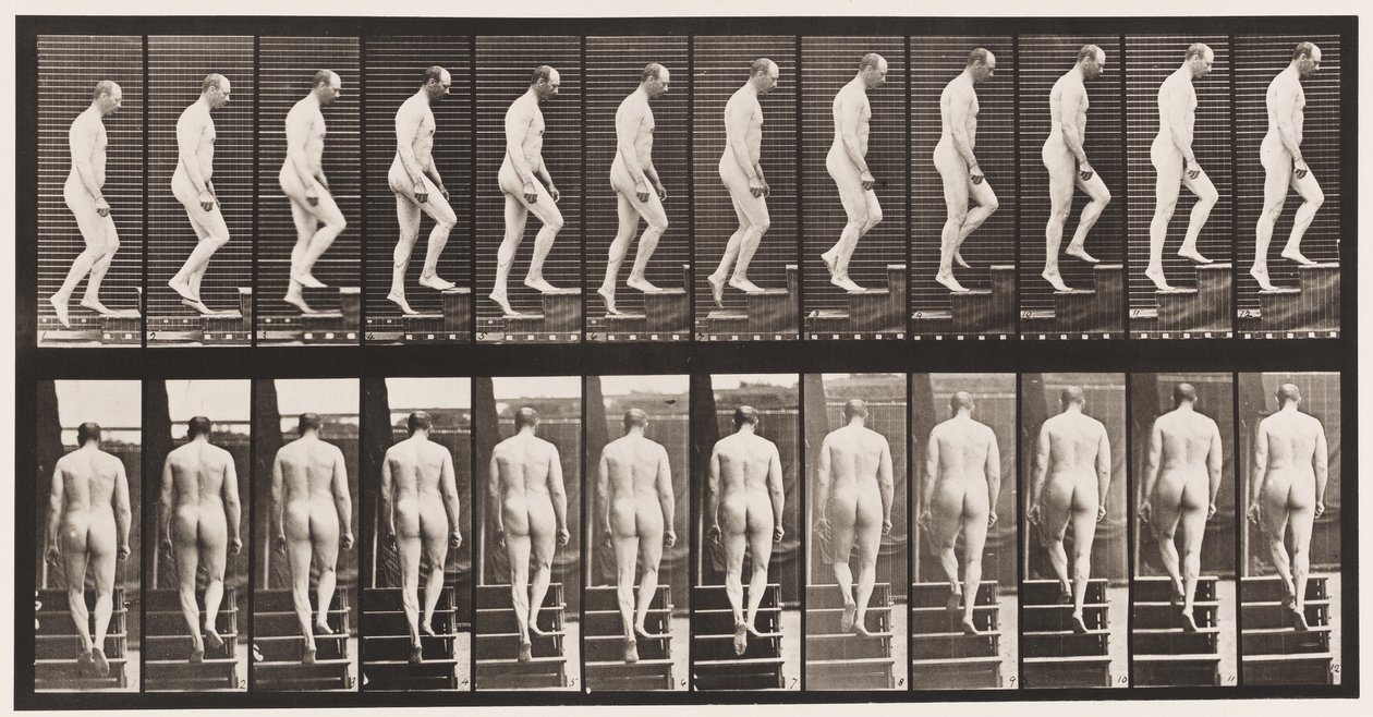 Plaka 89. Yükselen Merdivenler by Eadweard Muybridge