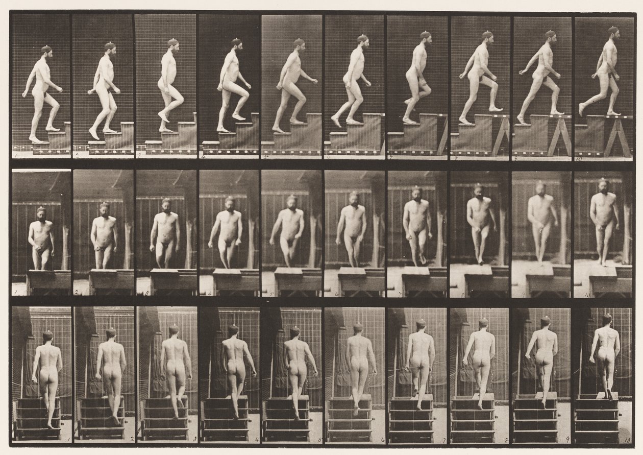 Plaka 90. Yükselen Merdivenler by Eadweard Muybridge
