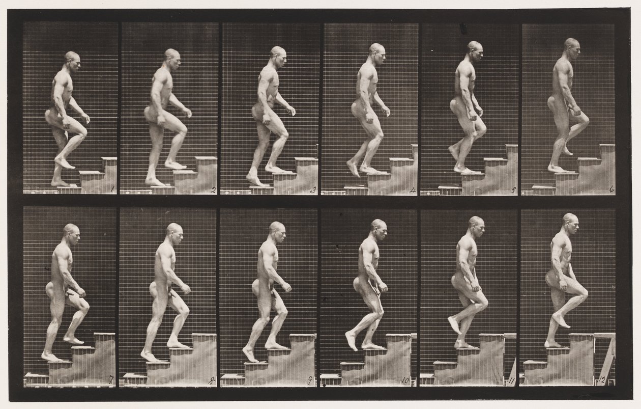 Plaka 91. Yükselen Merdivenler by Eadweard Muybridge
