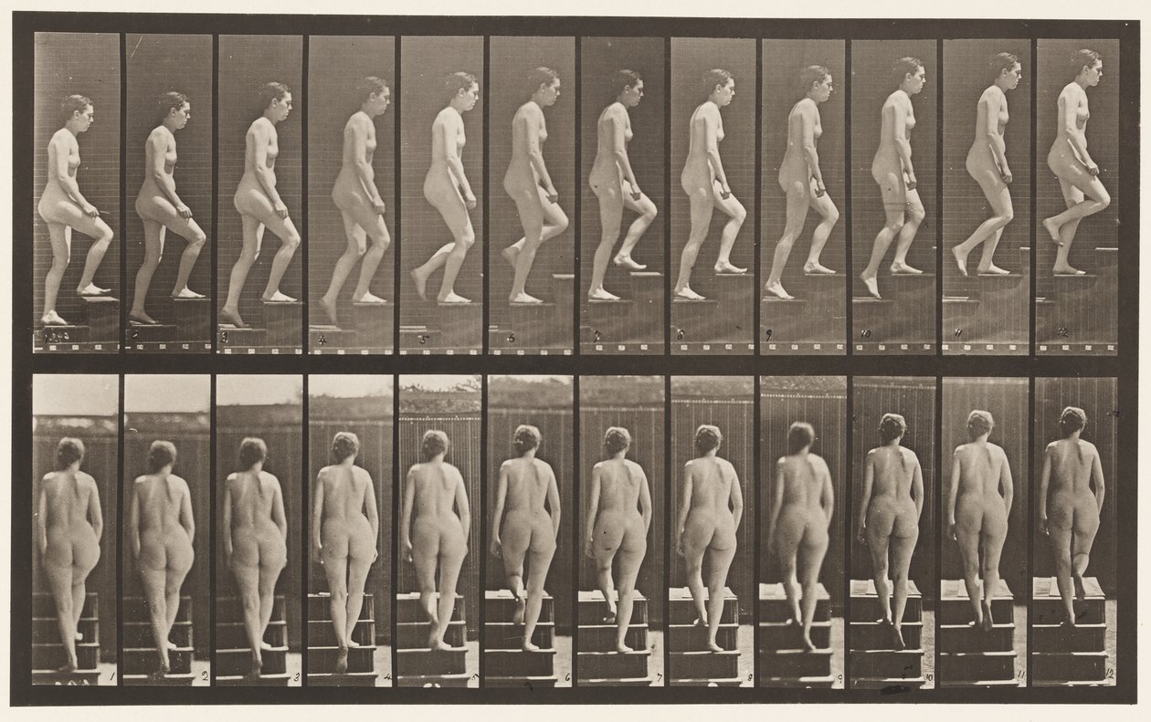 Plaka 92. Yükselen Merdivenler by Eadweard Muybridge