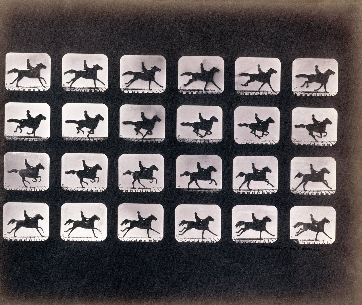 Eadweard J. Muybridge tarafından Koşma (Dörtnala) by Eadweard Muybridge