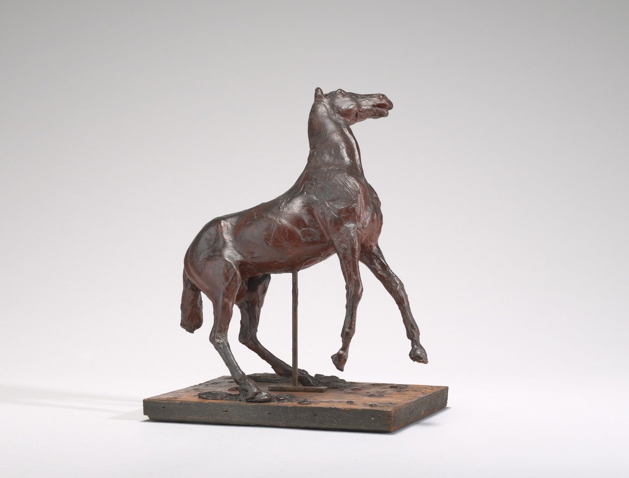 At Yetiştiriciliği, 1880'ler. by Edgar Degas