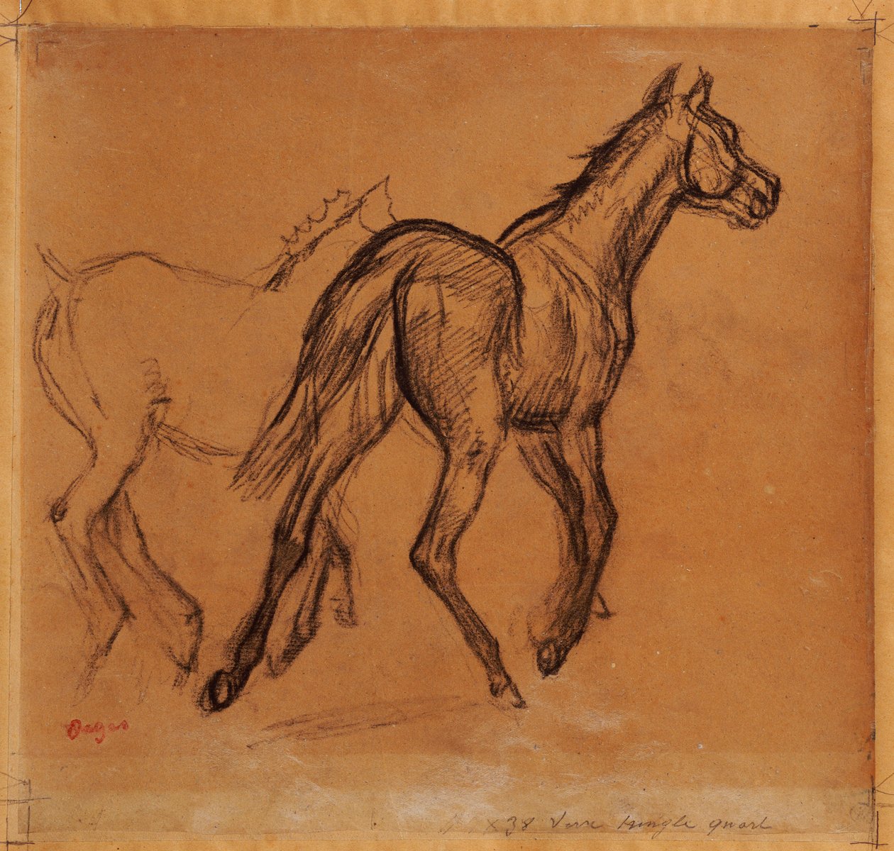 Atlar, c.1882 by Edgar Degas