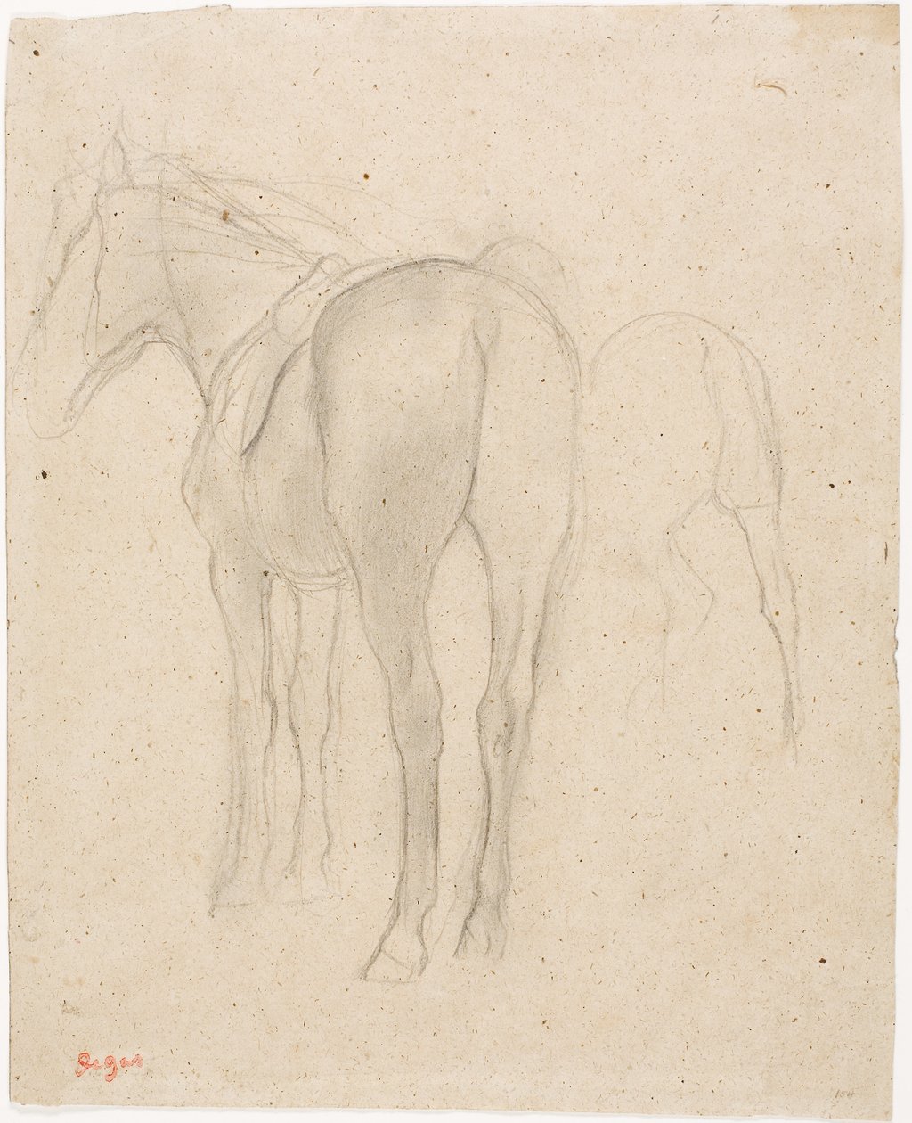 Bir At Çalışmaları by Edgar Degas