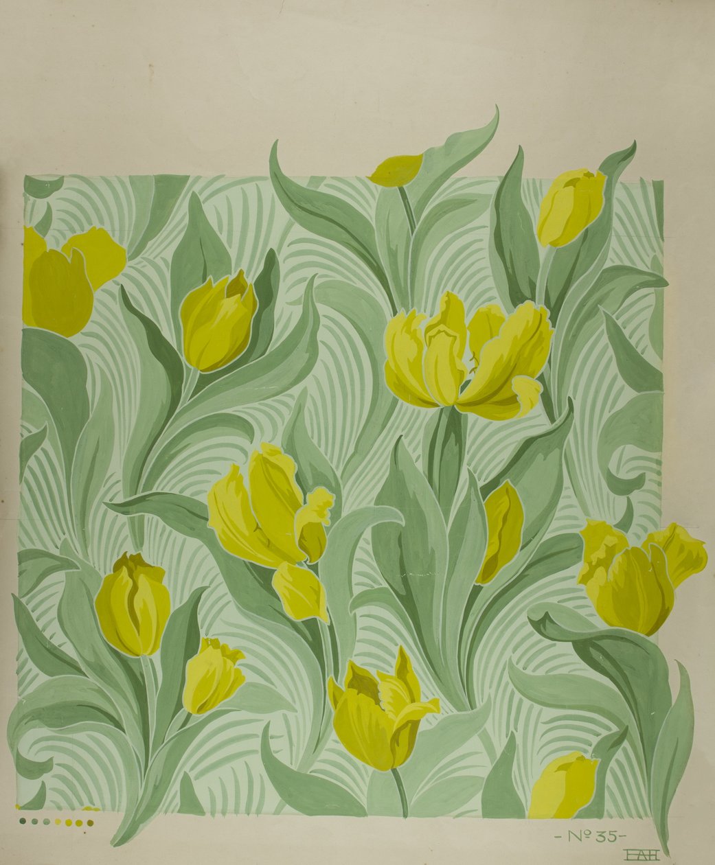 Tulipa by Edmund Hunter