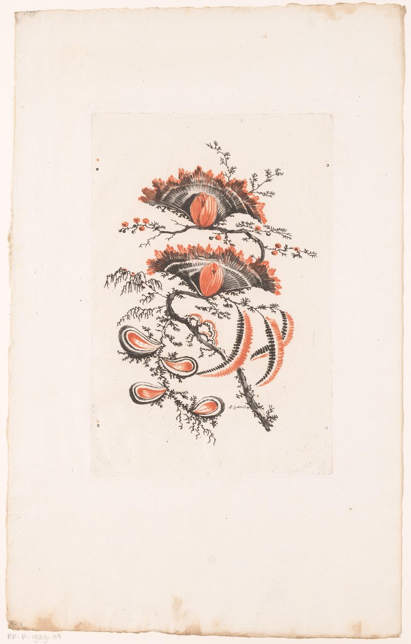 yelpaze şeklindeki çiçekler Fleurs Idéalle (seri başlığı) by Edouard Gautier Dagoty