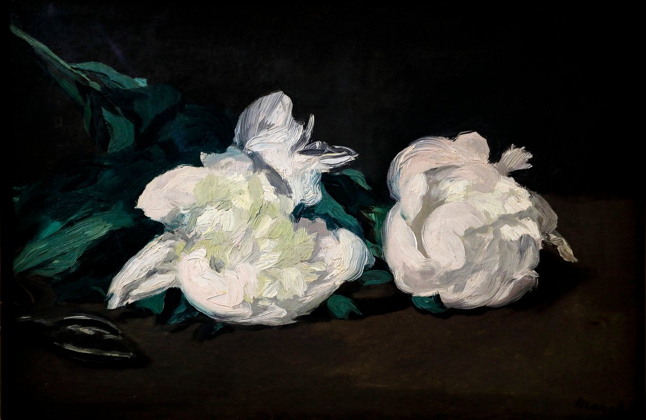 Beyaz şakayık ve budama makası dalı by Édouard Manet