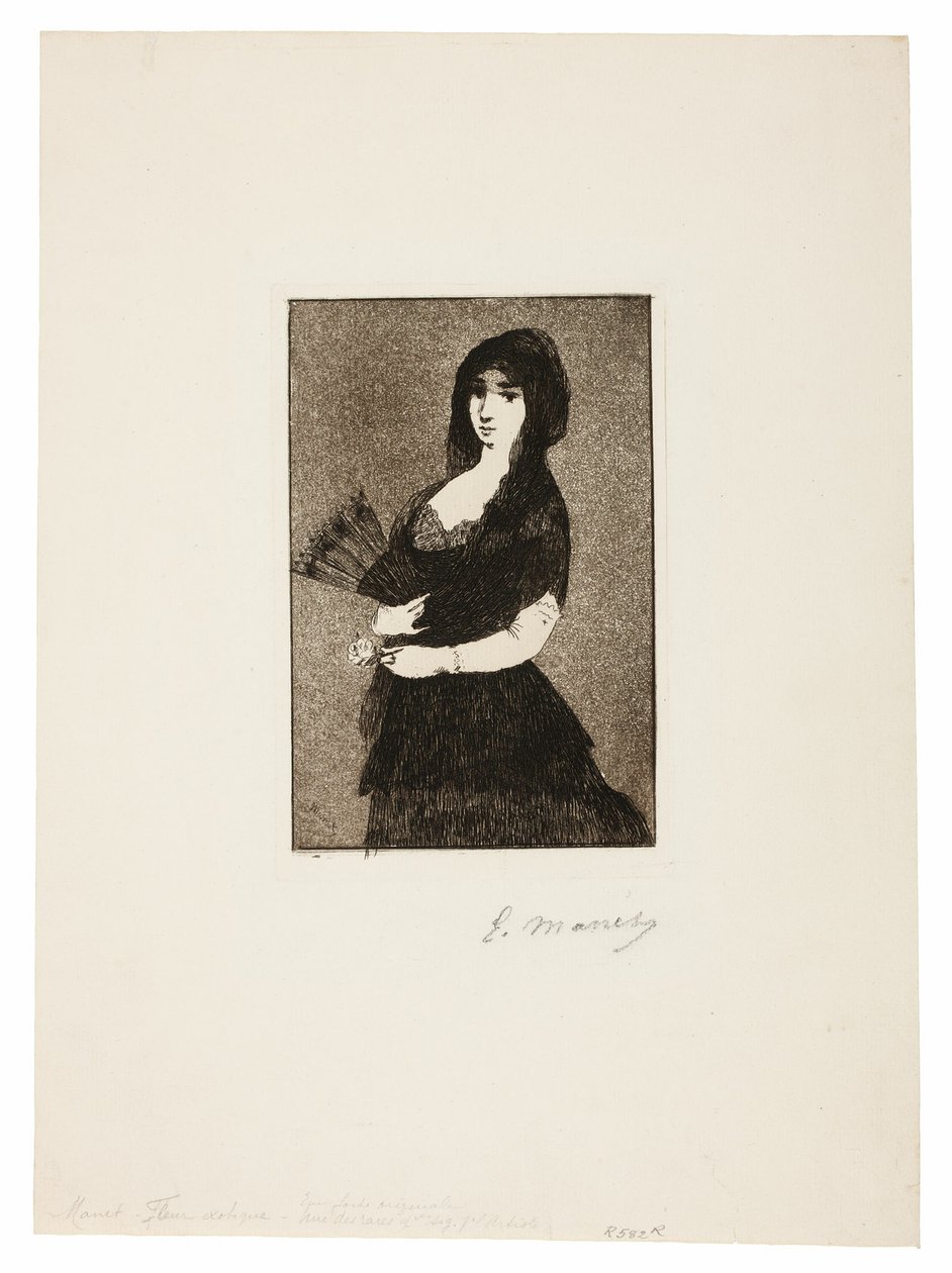 Egzotik Çiçek (Mantillalı Kadın) by Édouard Manet