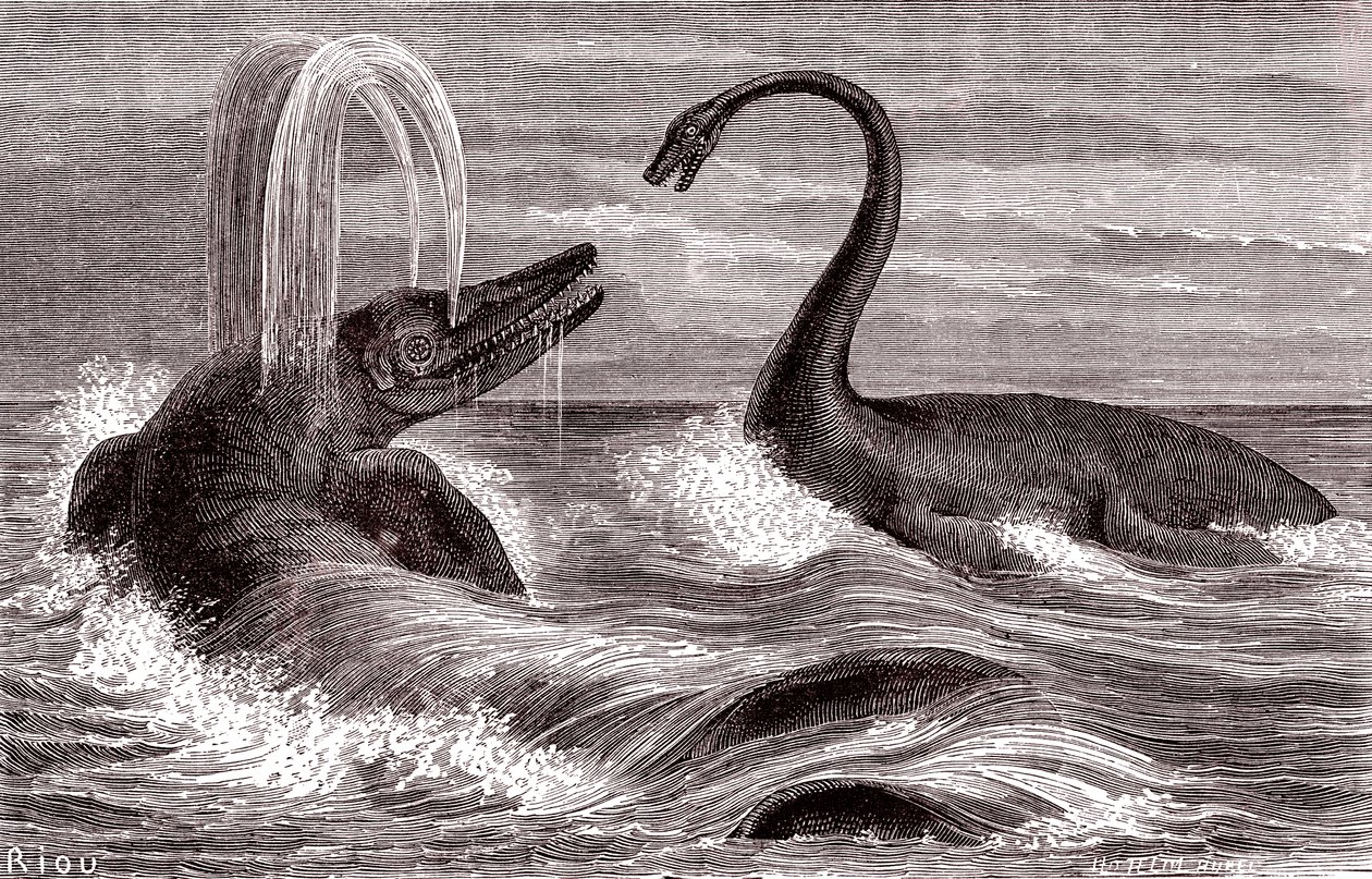 Ichtyosaurus ve Plesiosaurus by Edouard Riou