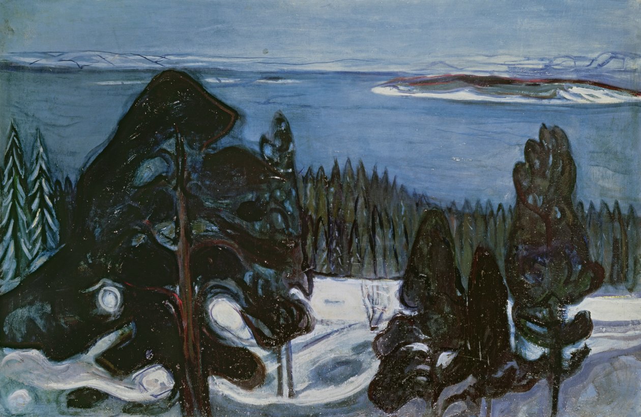 Kış Gecesi, c.1900 by Edvard Munch