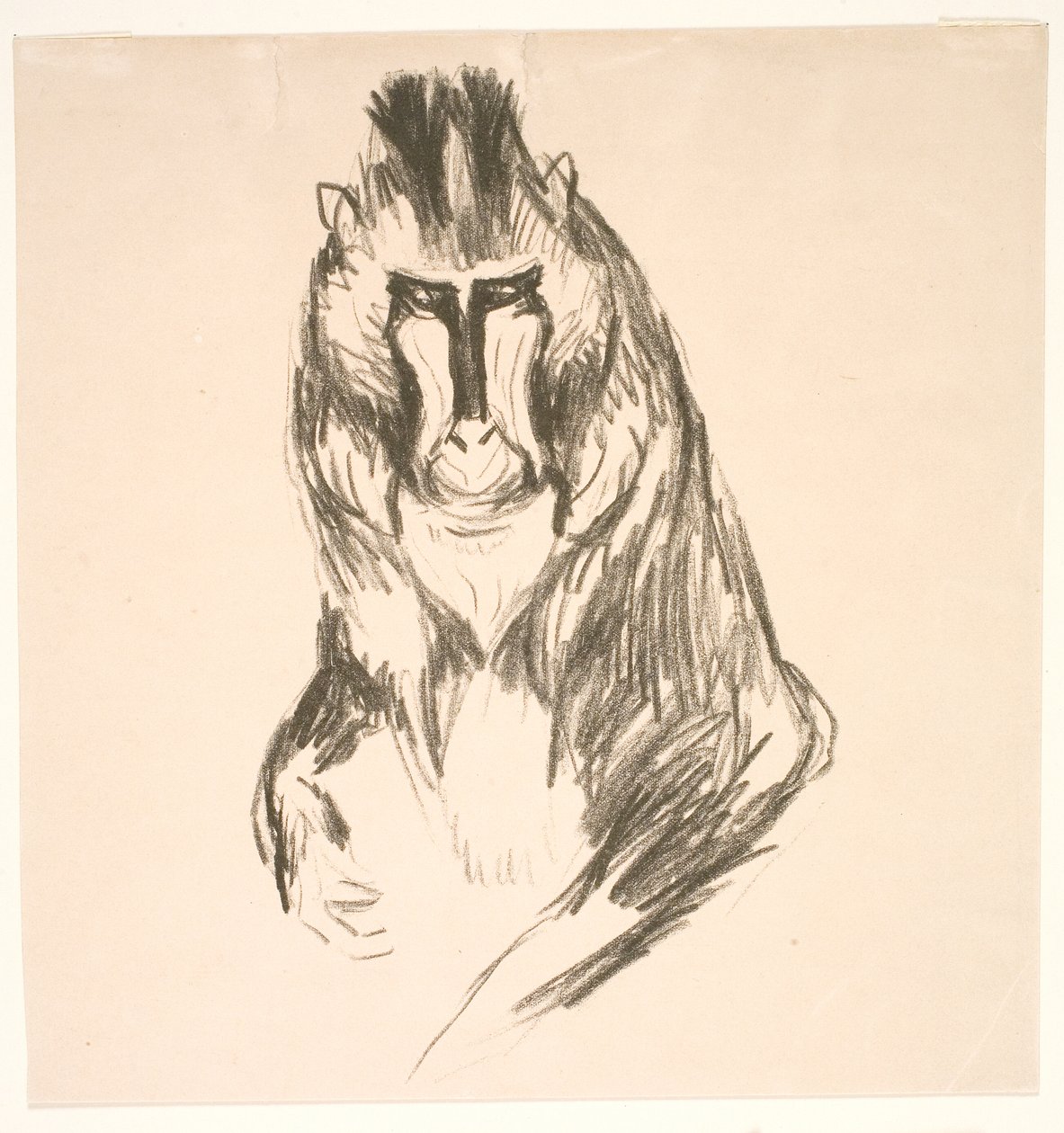 Goril (Mandril) by Edvard Munch