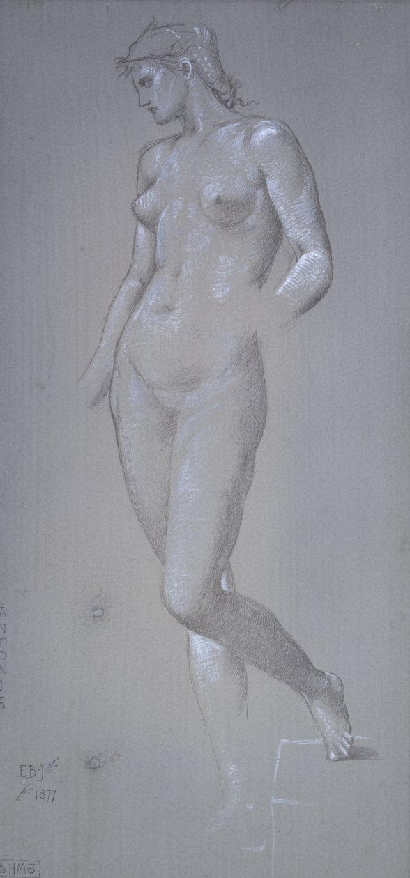 Antonia, 1877 (Gri hazırlanmış zemin üzerine gümüş nokta ve gövde rengi) by Edward Burne Jones