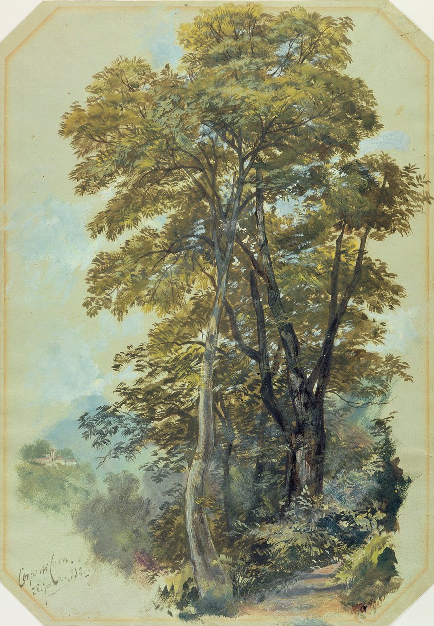 Edward Lear, Corpo di Cava, 28 Haziran 1838 (gri dokuma kağıt üzerine yağlı boya) by Edward Lear
