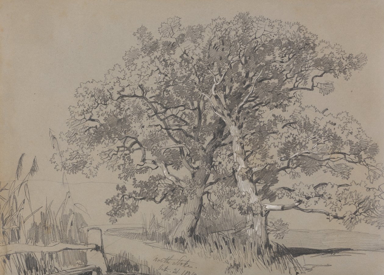 Kuzey Stoke. 21.1834. by Edward Lear
