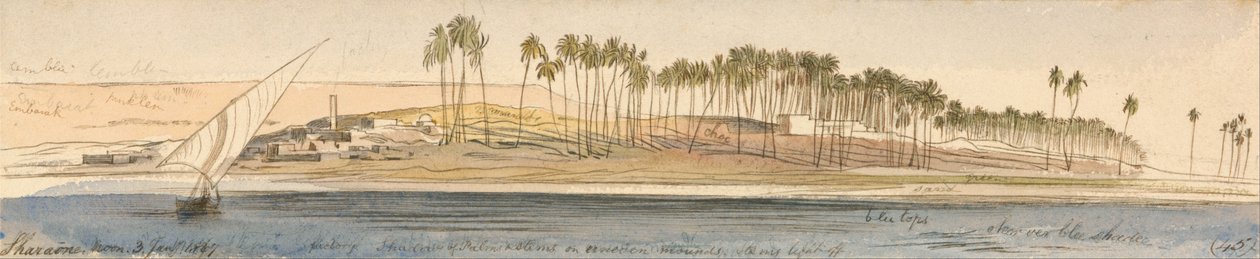 tıraş by Edward Lear
