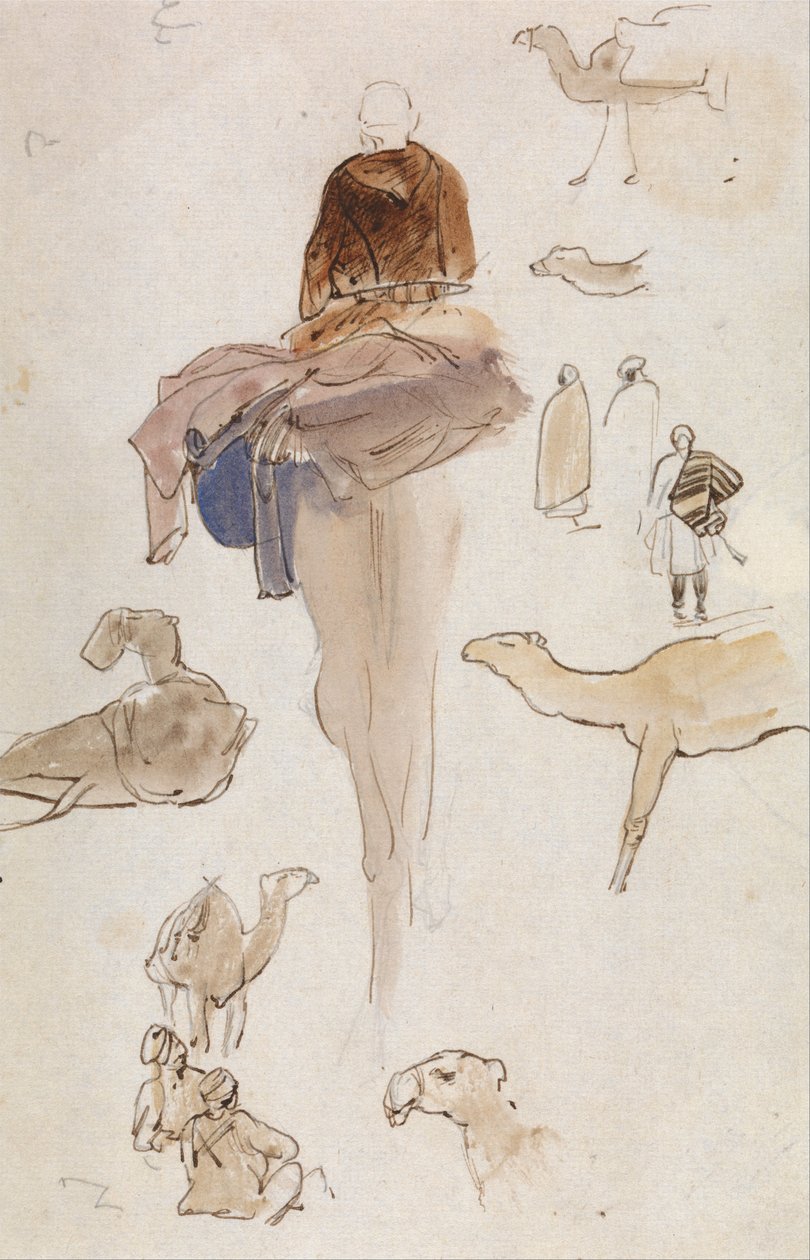 Deve Çalışmaları by Edward Lear
