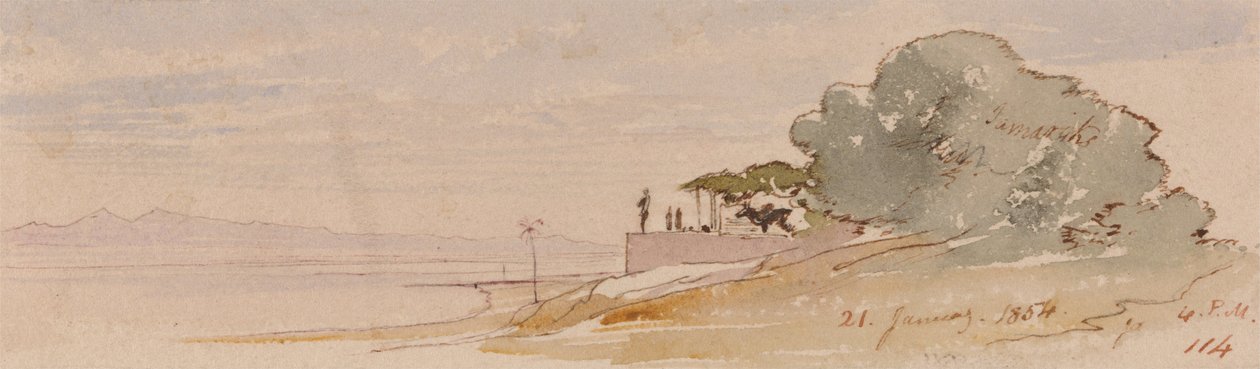 Teb by Edward Lear