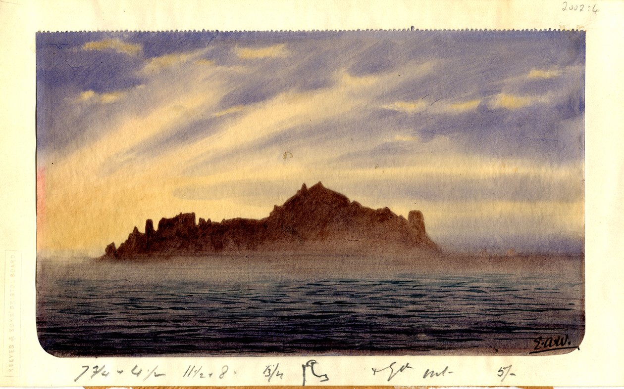 Güney Trinidad, 1901 (kağıt üzerinde wc) by Edward Adrian Wilson