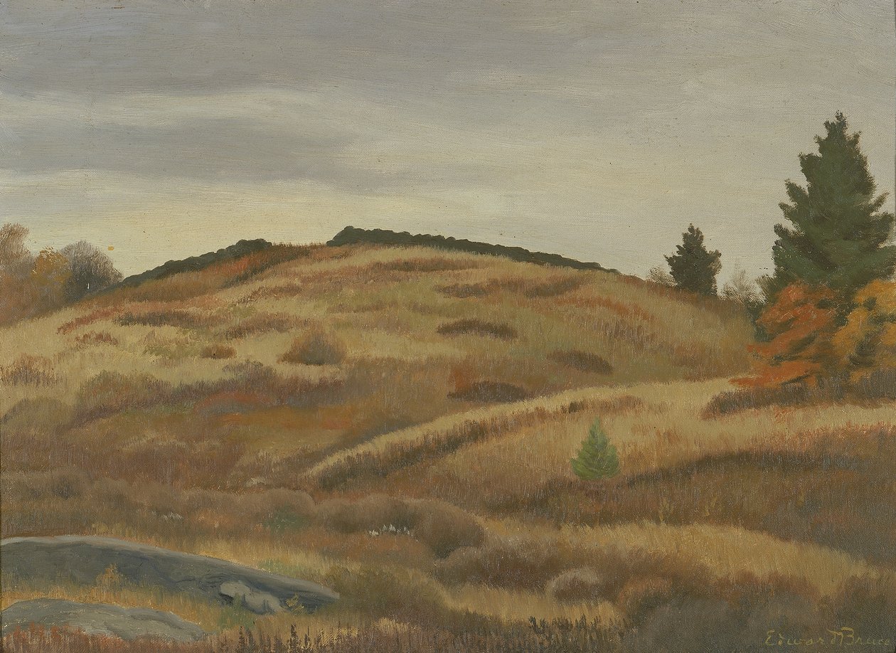 Sonbahar Tarlaları, ca. 1926-1934. by Edward Bruce