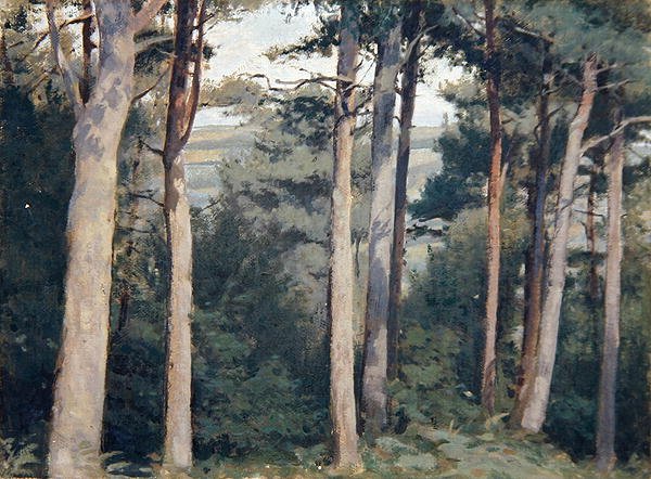 Lambert Kalesi by Edward Ingram Taylor