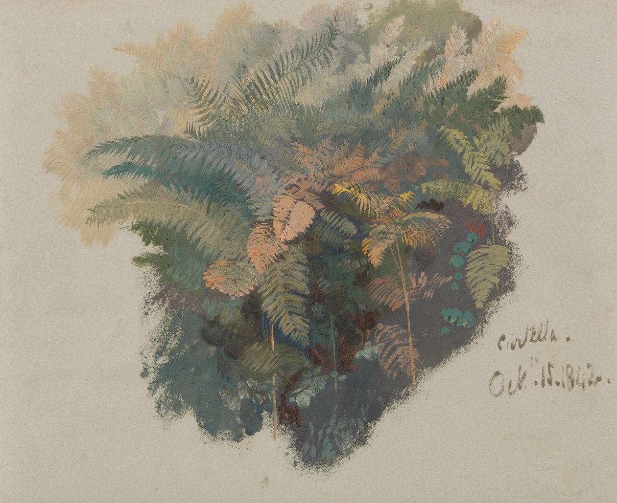 Eğrelti Otları Üzerine Bir Araştırma, Civitella by Edward Lear