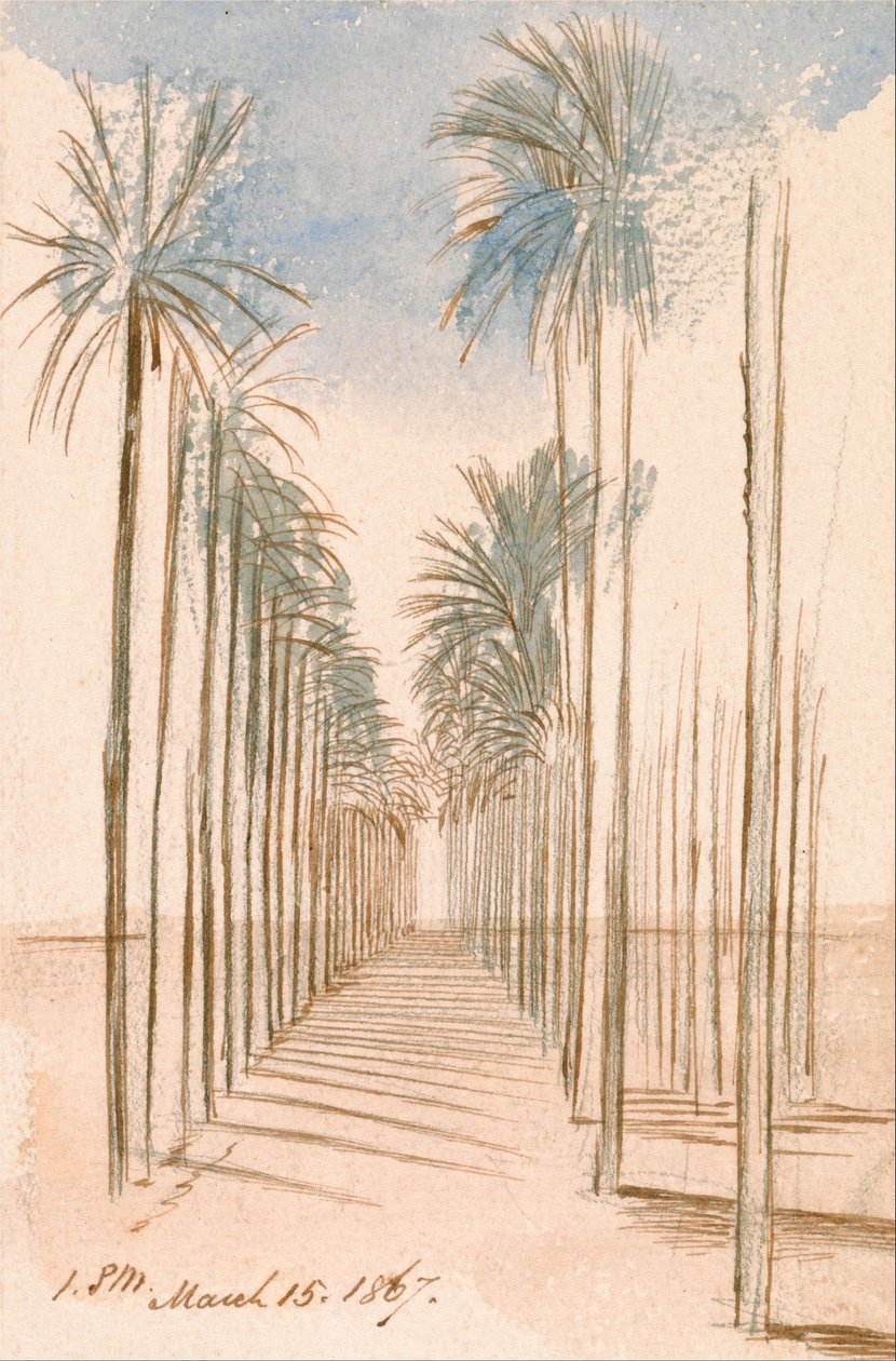  by Edward Lear
