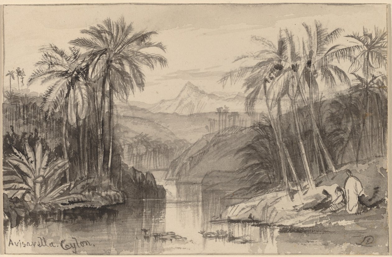 Avisavella, Seylan, 18841885. by Edward Lear