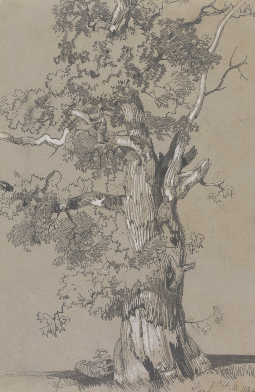 Parham, Ekim 13.1834 by Edward Lear