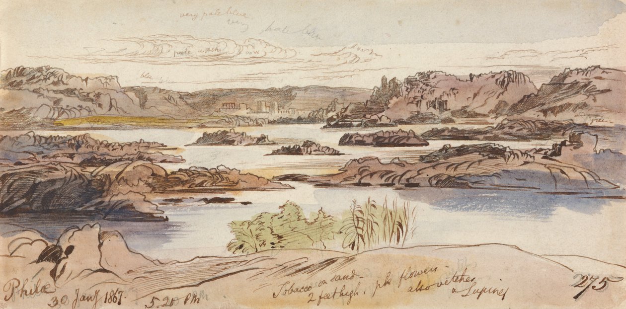  by Edward Lear
