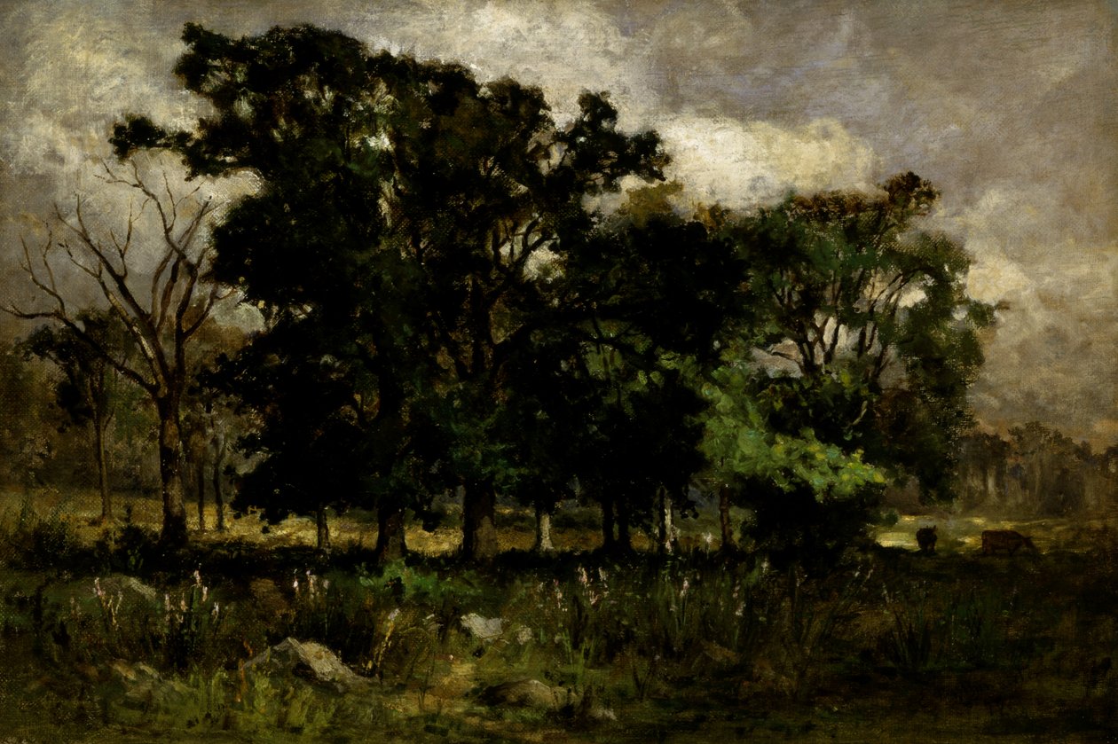 Ağaç Manzarası, 1877. by Edward Mitchell Bannister