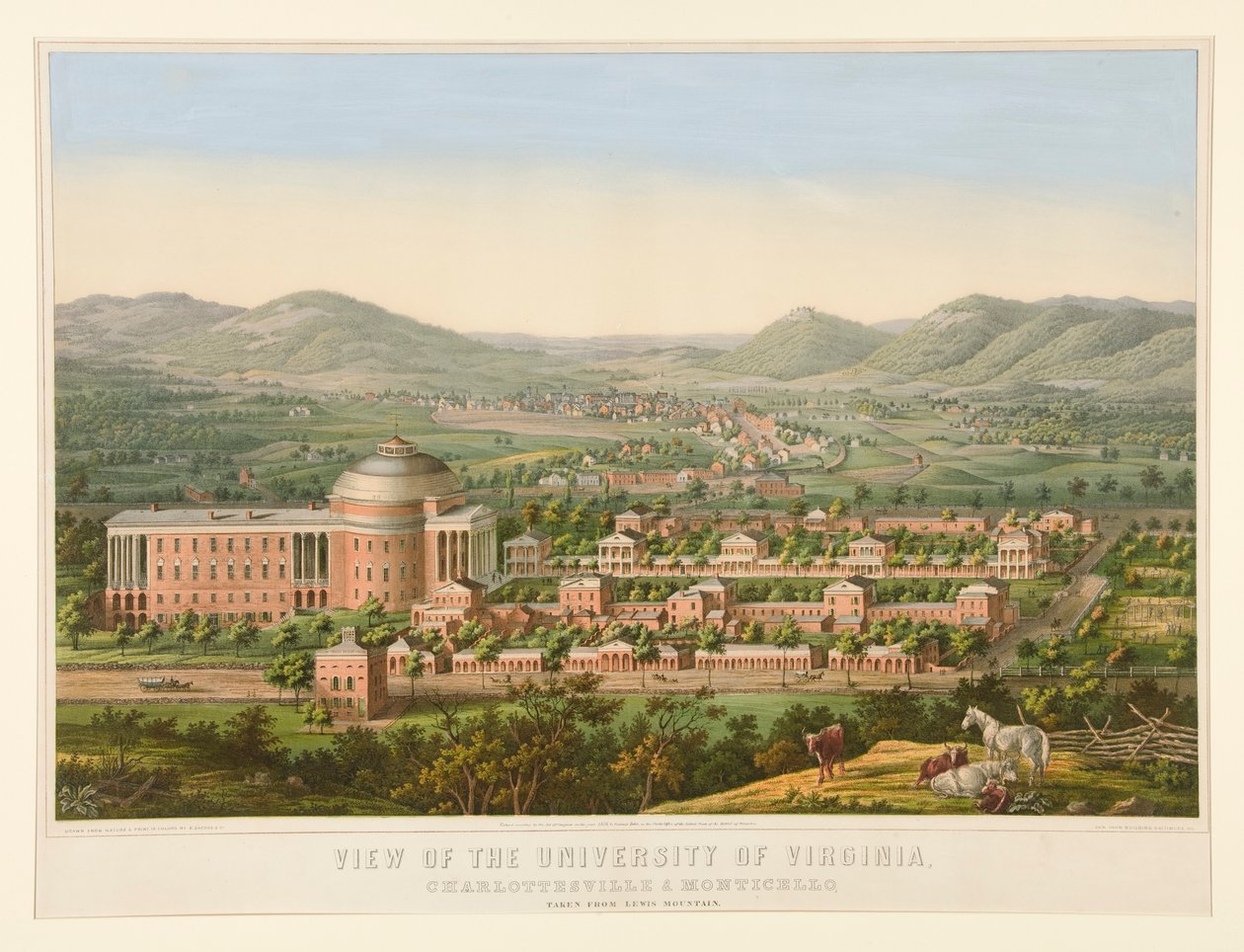 Virginia Üniversitesi