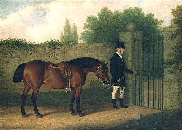 at ve damat by Edward Tolley
