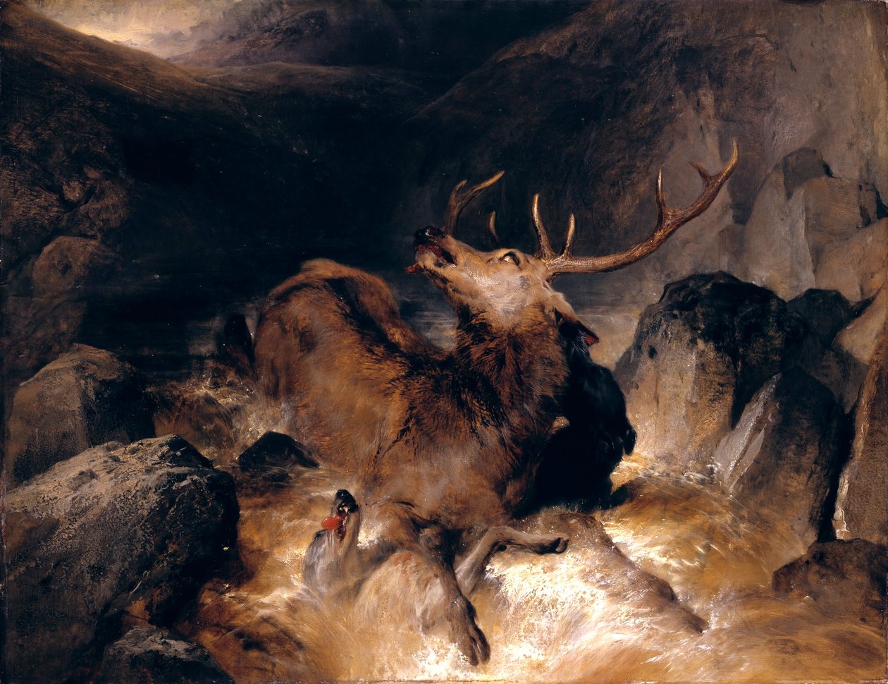 Bir Dağda Geyik ve Geyik Av Köpekleri Torrent by Edwin Landseer