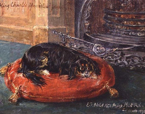 Kral Charles Spaniel Dinleniyor by Edwin Frederick Holt