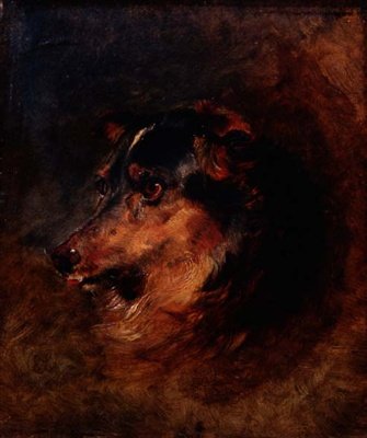 Bir Collie Köpeğinin Baş Çalışması by Edwin Landseer