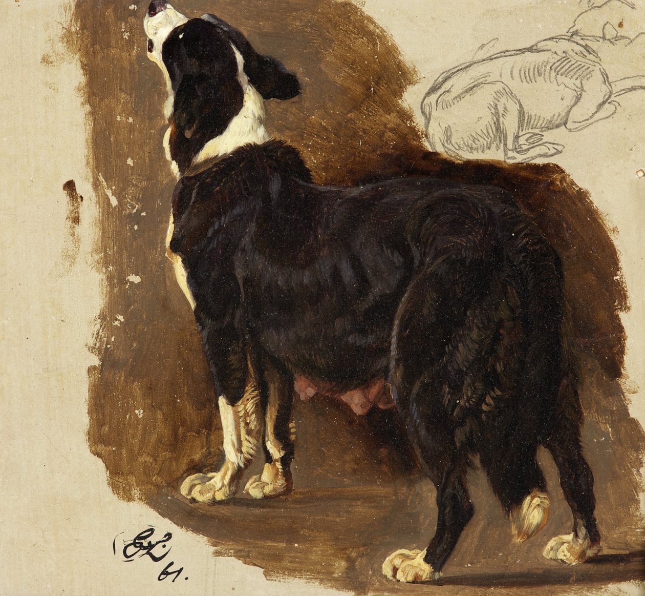 Collie Bitch (kart üzerinde yağ ve kurşun kalem) by Edwin Landseer