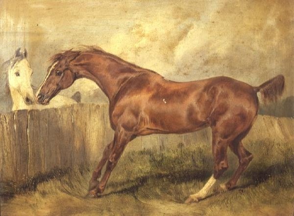 Marianne, favori bir avcı by Edwin Landseer