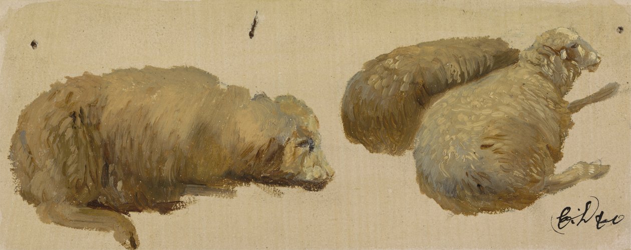 Dinlenen Üç Koyun (kağıt üzerinde yağlı boya) by Edwin Landseer