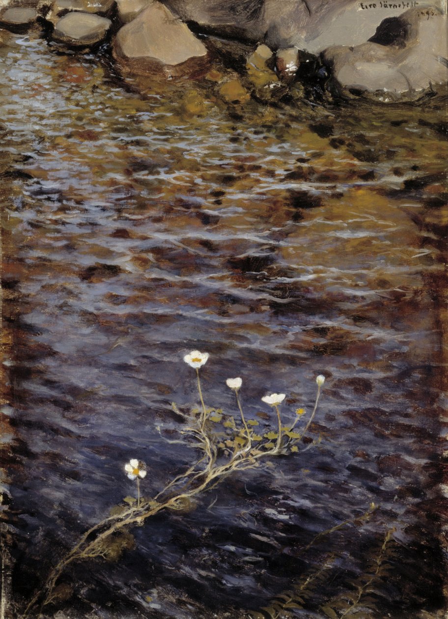 Gölet Suyu Crowfoot by Eero Järnefelt