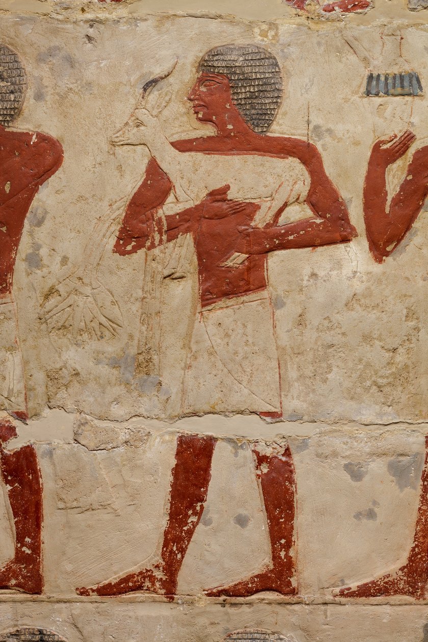 Mastaba Tomb of Perneb, c.2381–2323 BC (limestone and paint) by Egyptian 5th Dynasty