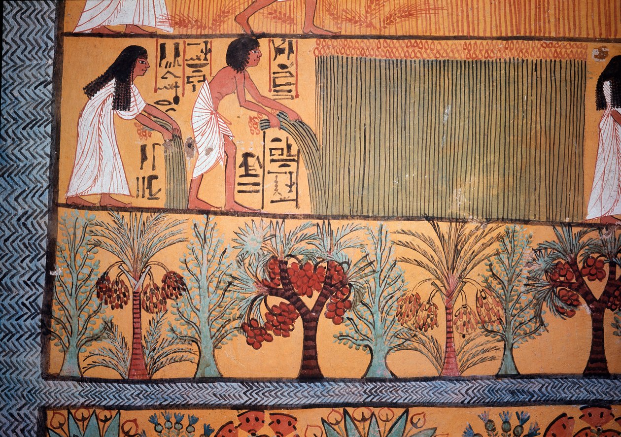Bir hasat sahnesi (duvar resmi by Egyptian Egyptian