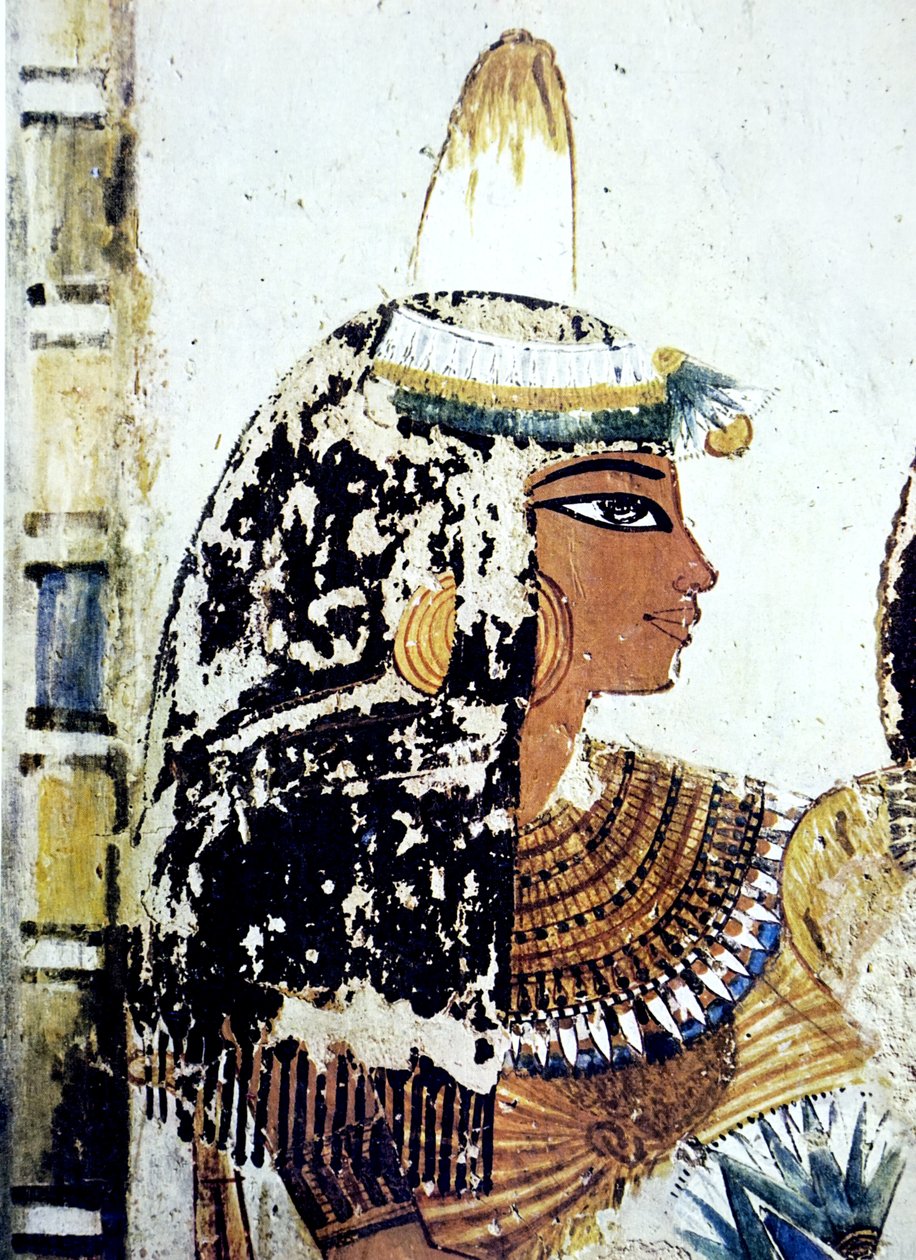 Mısır mezarı duvar resmi by Egyptian Egyptian