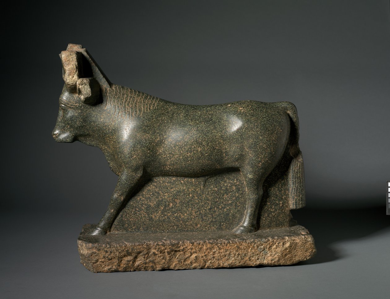 Apis Boğası, MÖ 400-100 (serpantinit) by Egyptian Ptolemaic Period