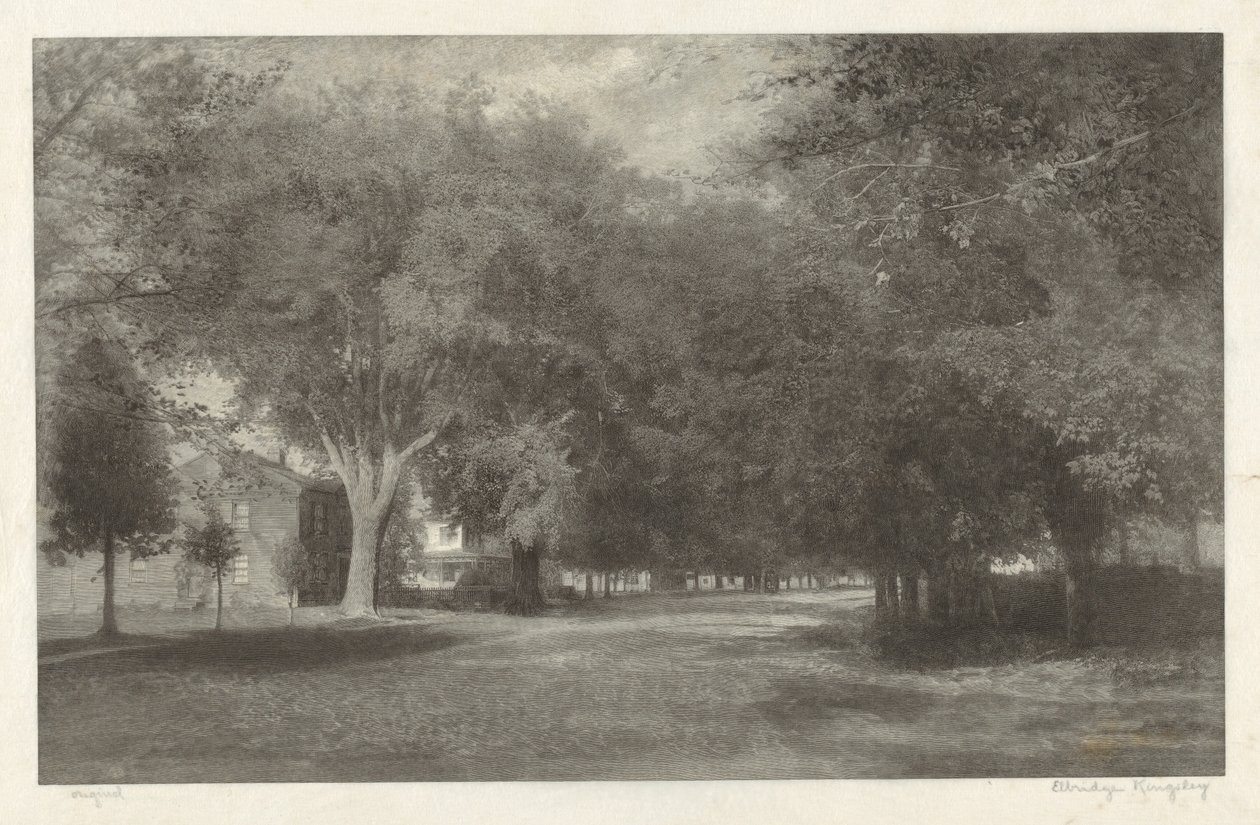 New England Karaağaçları by Elbridge Kingsley