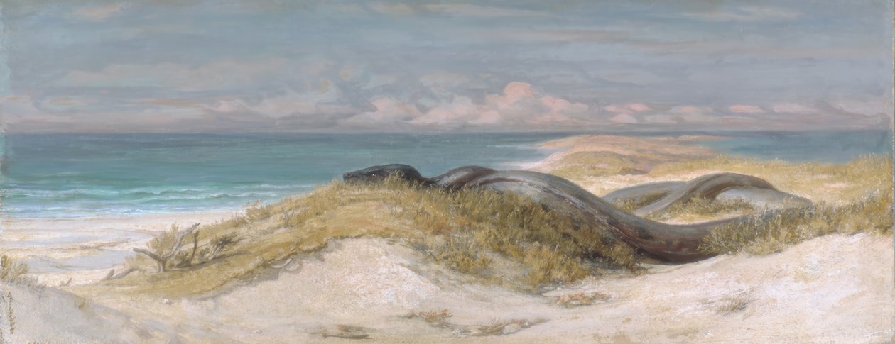 Deniz Yılanı Mağarası by Elihu Vedder
