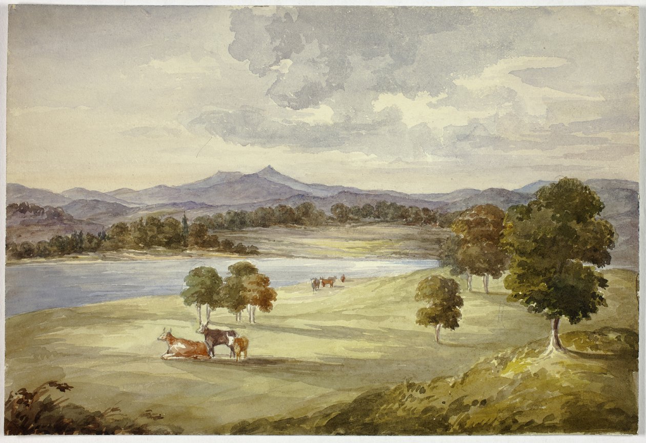 Manzaradaki İnekler by Elizabeth Murray