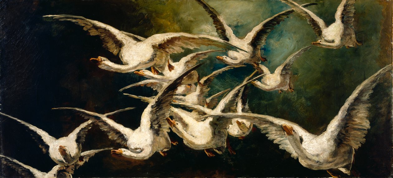 Kaz sürüsü, ca. 1883. by Elizabeth Nourse