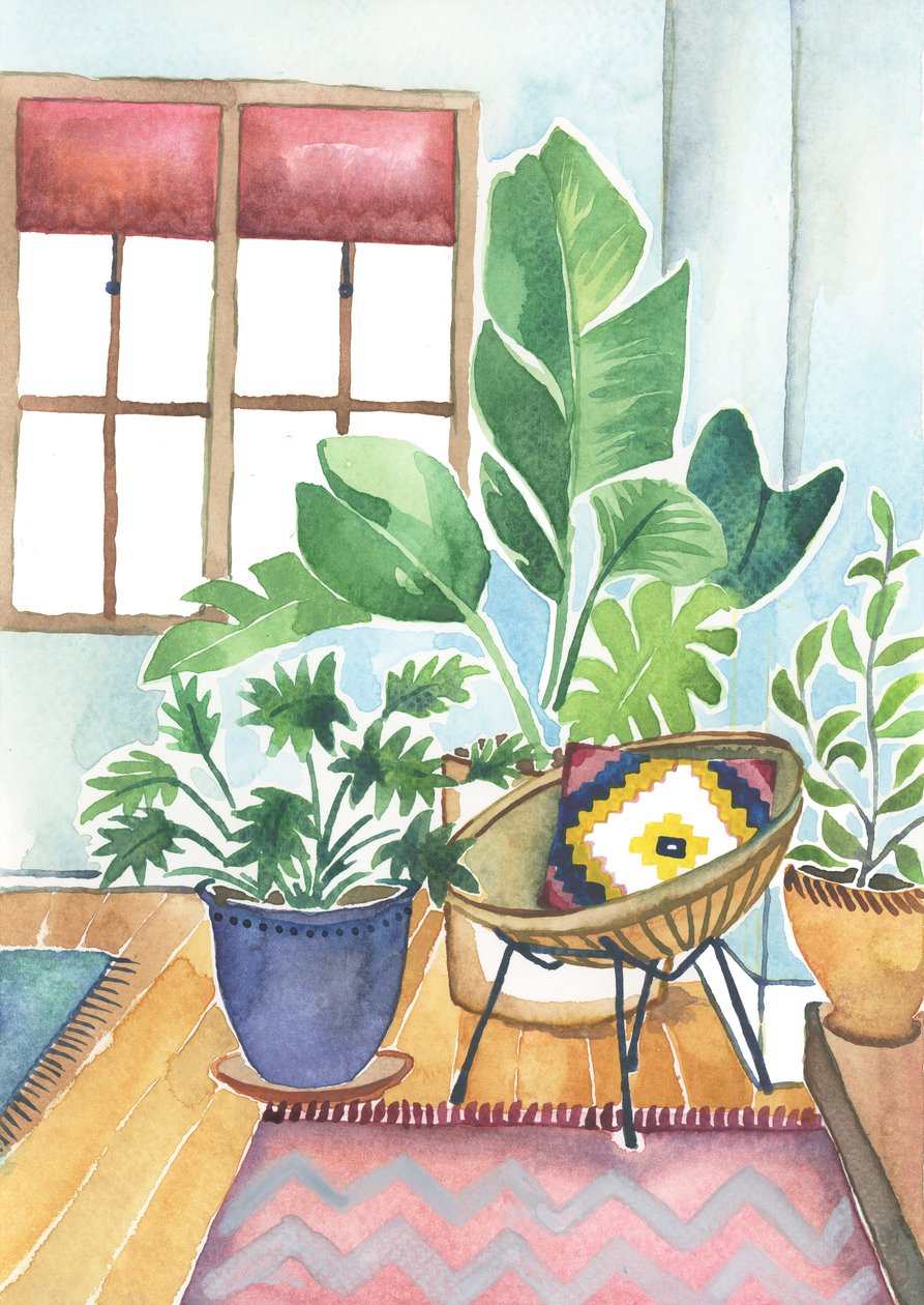  by Elizabeth Rider