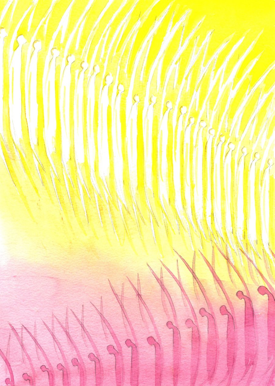 Göksel ev sahibi, 2001 (kağıt üzerinde w/c) by Elizabeth Wang